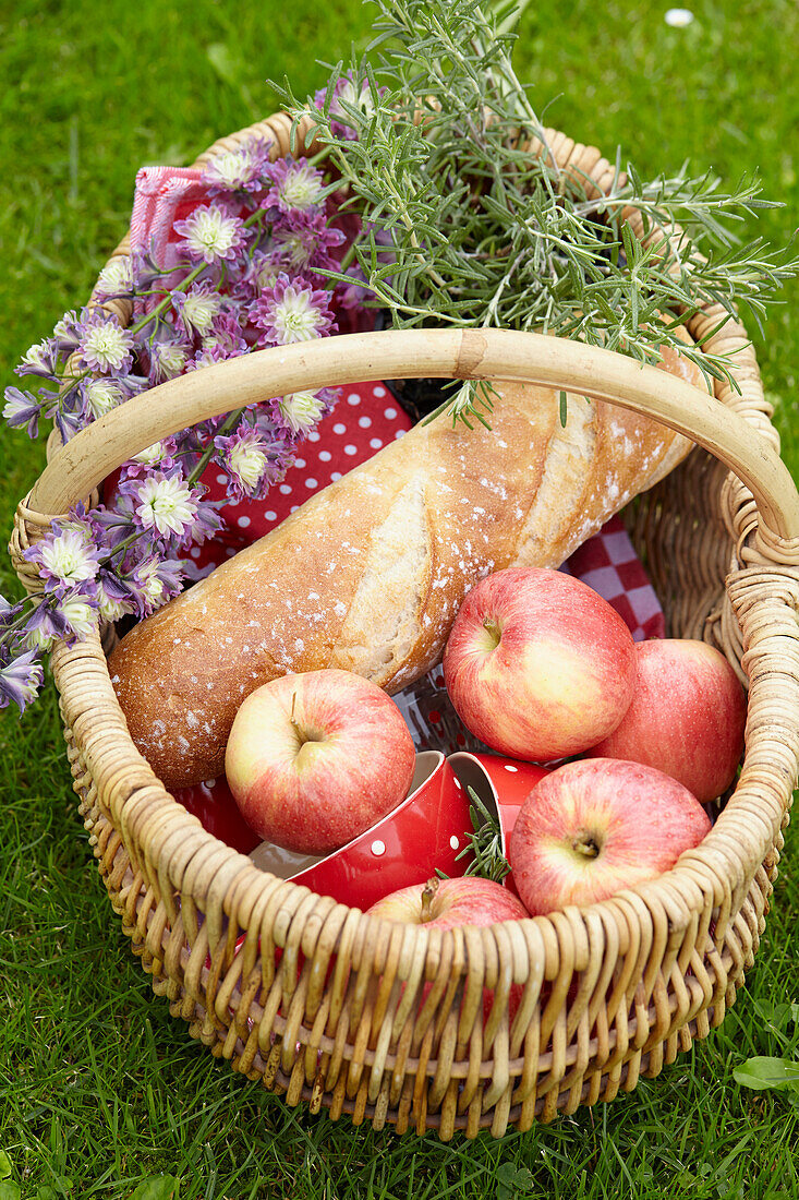 Gefüllter Picknickkorb