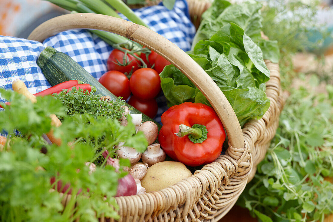 Gemüsekorb mit Kräutern