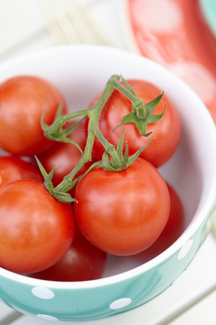 Bowl with tomatoes