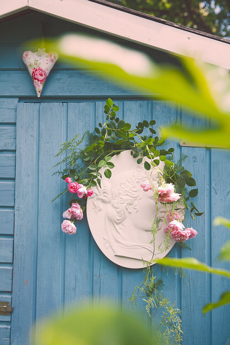 Roses on garden shed