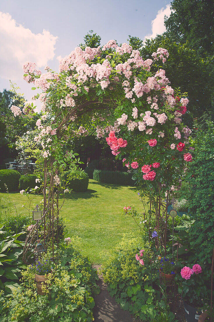 Rose arch