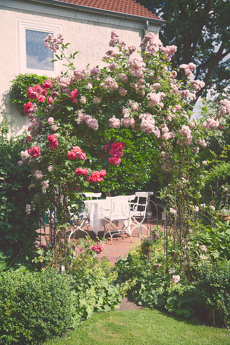 Rose arch