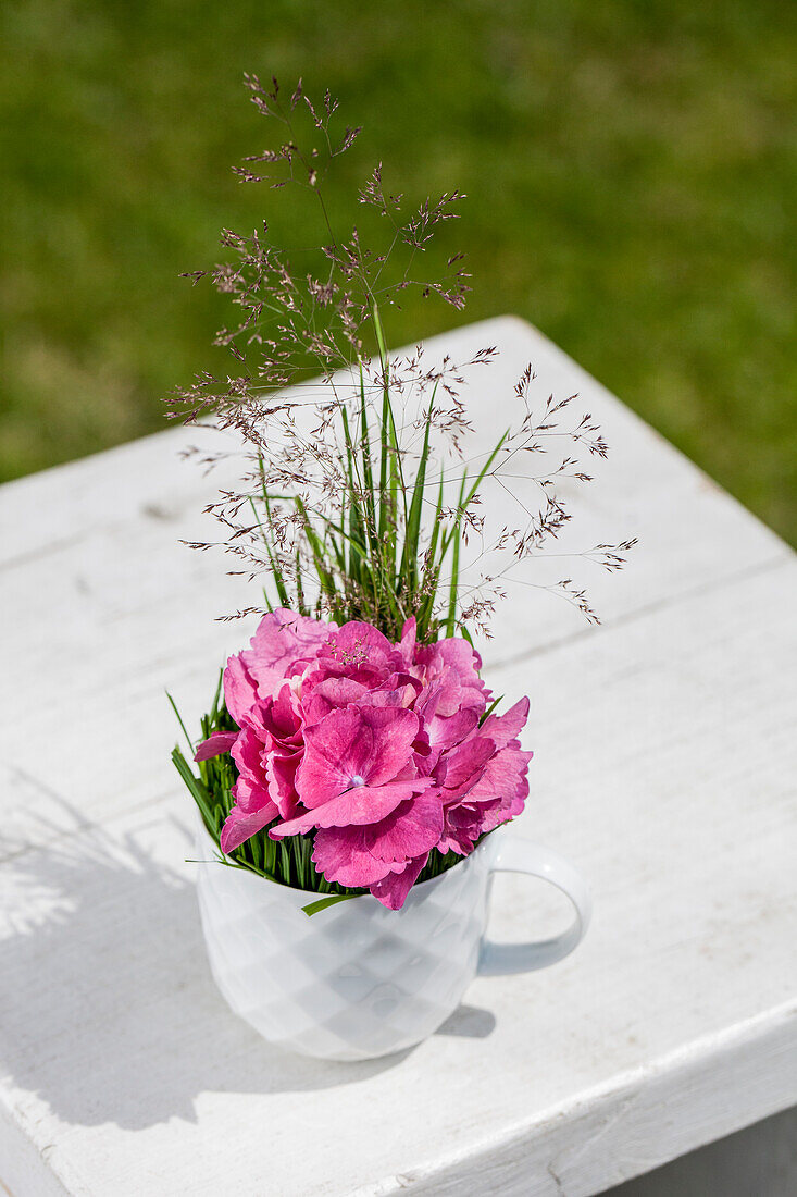 Hydrangea