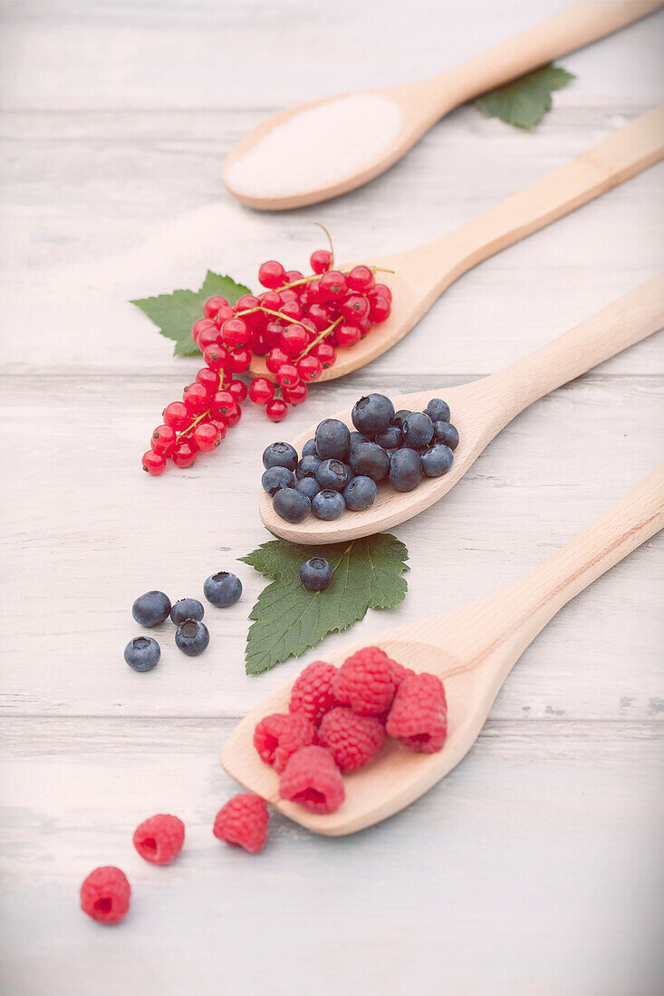 Rubus idaeus, Vaccinium corymbosum, Ribes rubrum