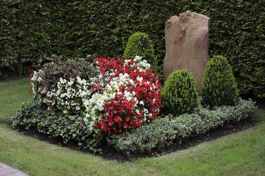 Gravesite with ice begonias