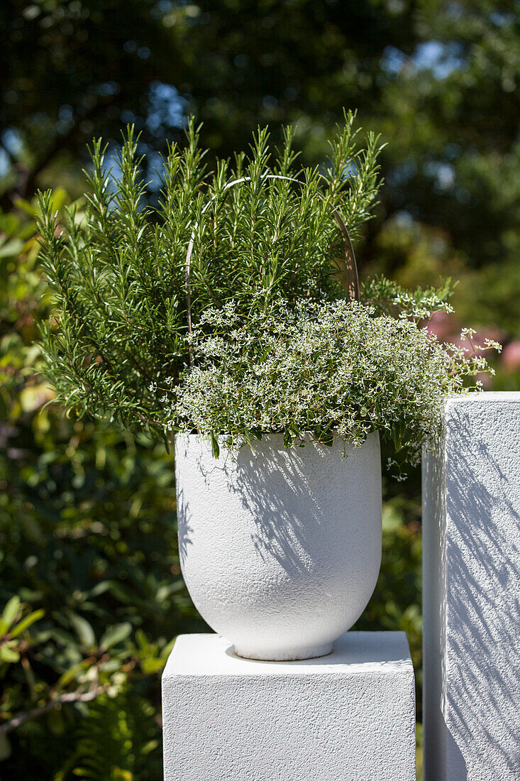 Group planting