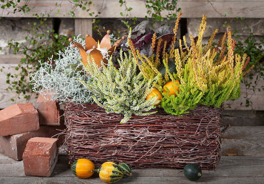 Autumnal planted basket