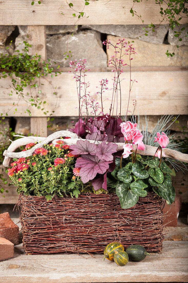 Autumn planted basket