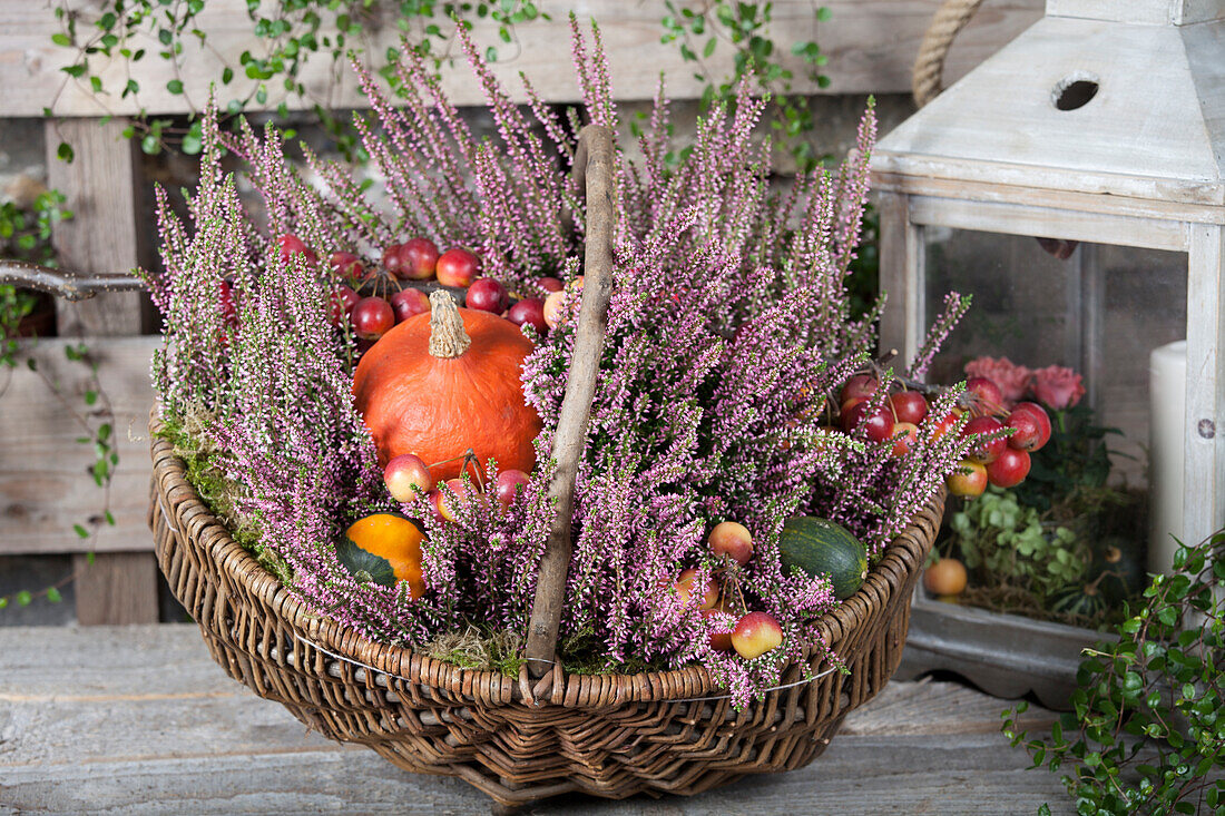 Basket with Calluna