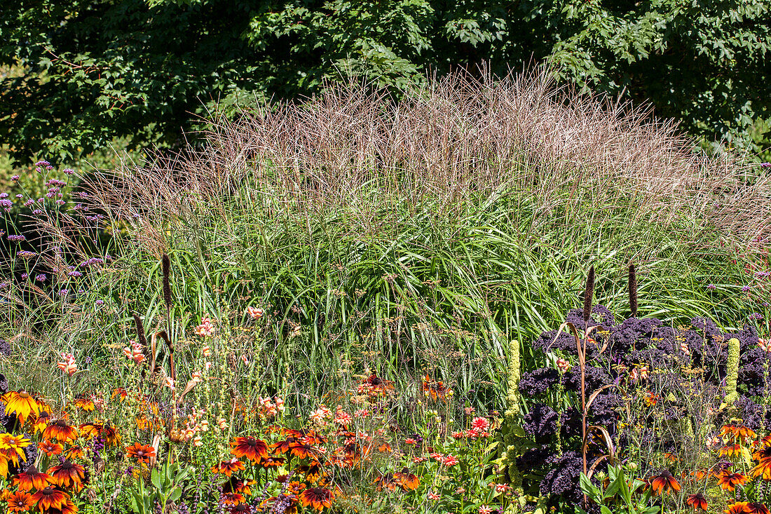 Bedding with grasses