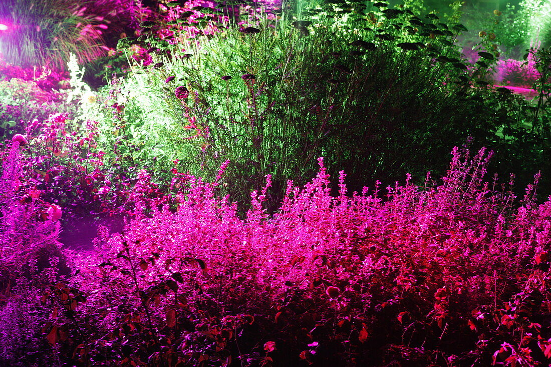 Illuminated flowerbed
