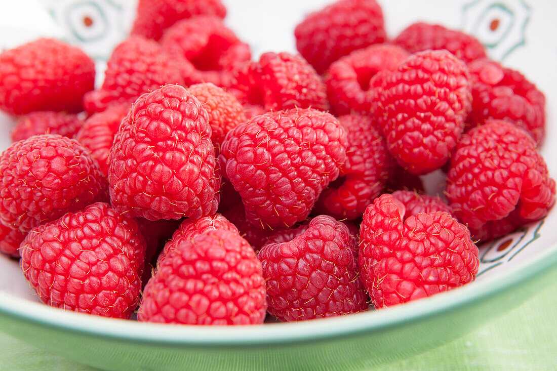 Rubus idaeus