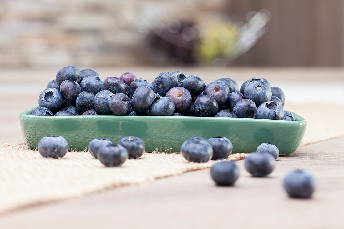 Vaccinium myrtillus