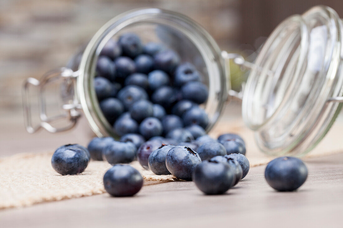 Vaccinium myrtillus