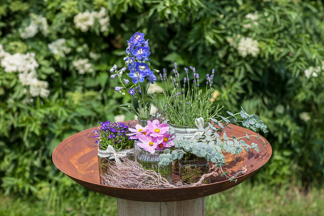 Delphinium, Lavandula, Sedum, Lobelia erinus, Cosmea