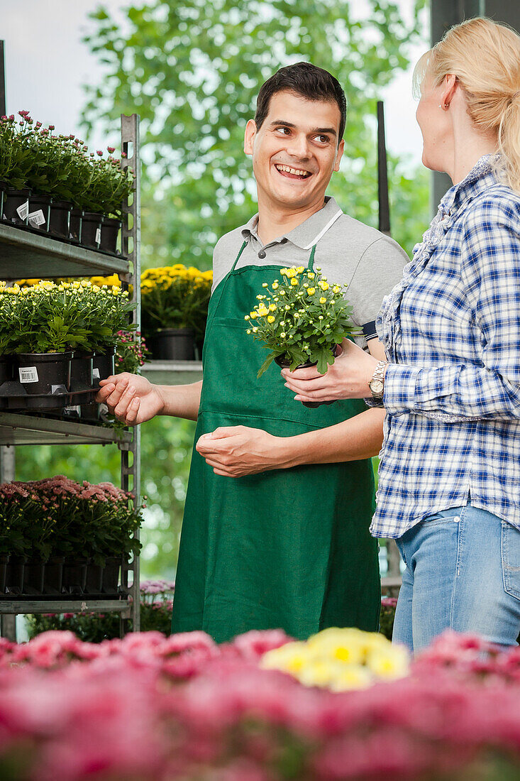 Garden centre sales assistant