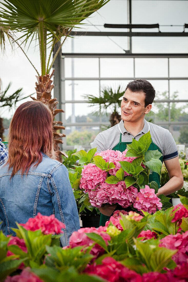 Garden centre salesman and customer