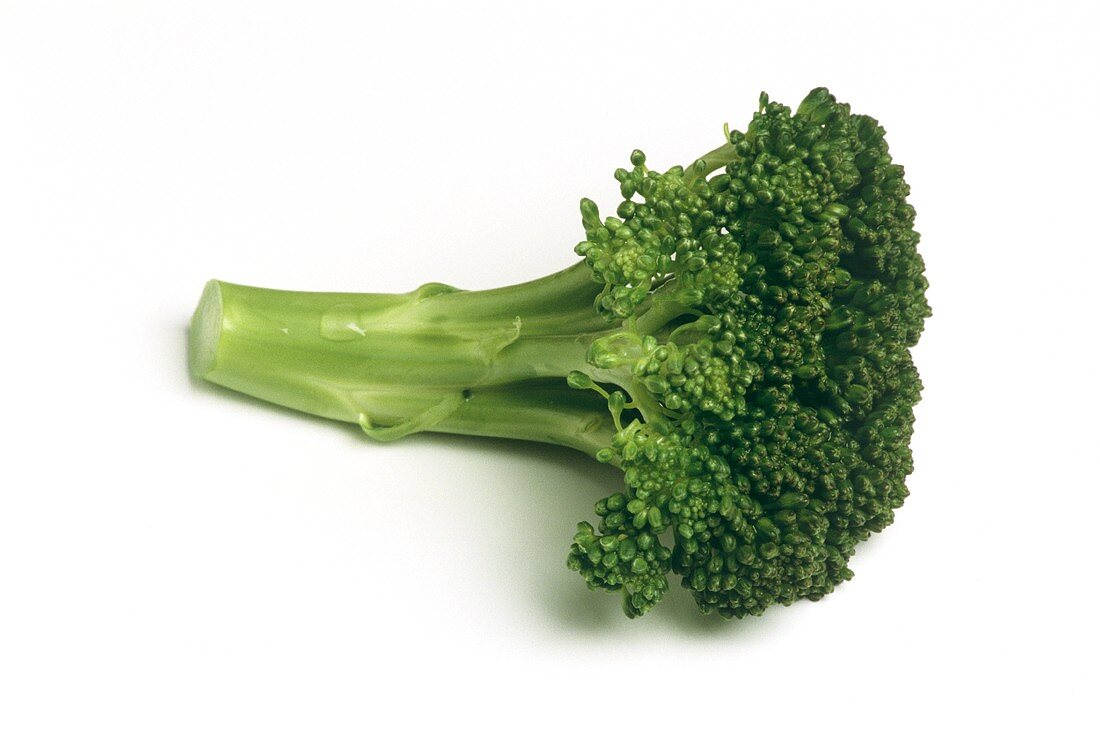 Ein Broccoliröschen auf weißem Untergrund