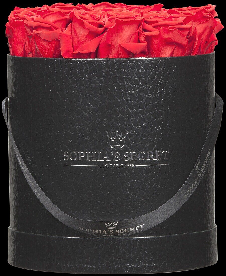 Sophias Secret® - Rose Box - Hat Box