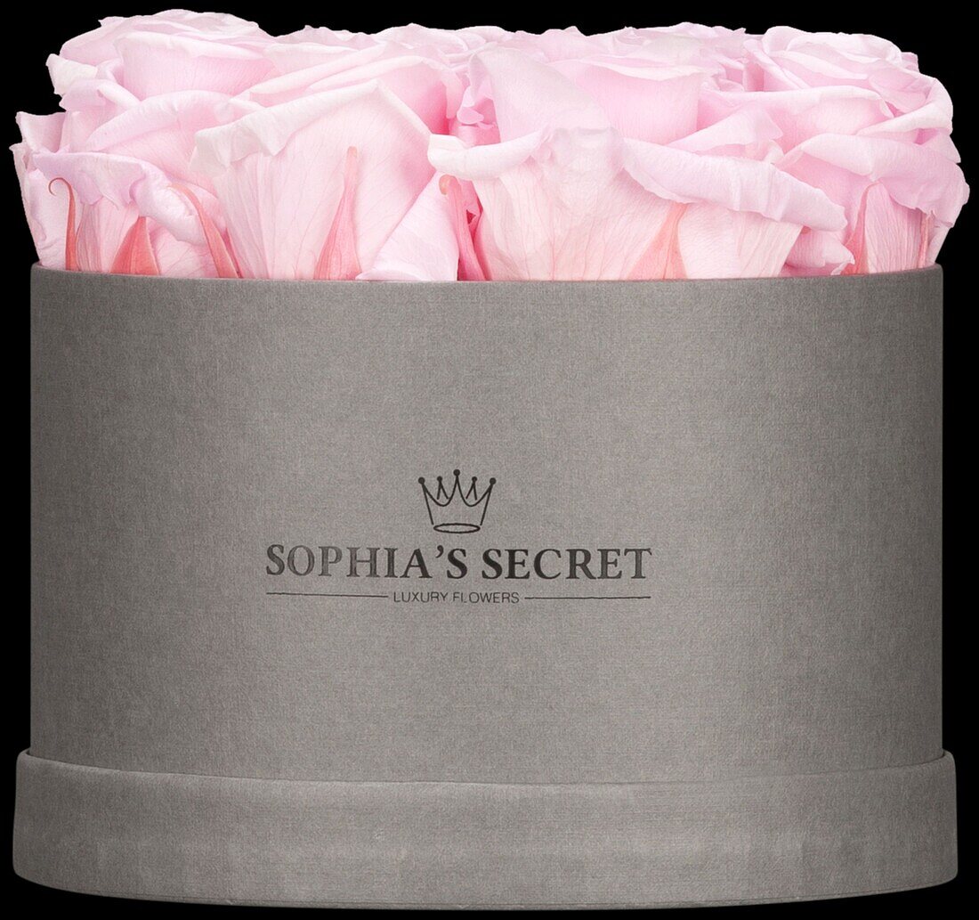 Sophias Secret® - Rose Box - Hat Box