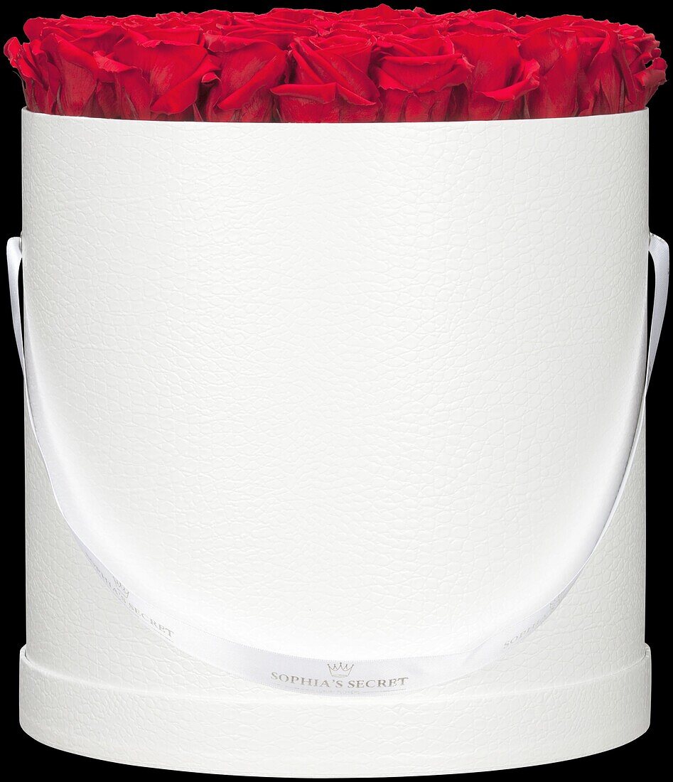 Sophias Secret® - Rose Box - Hat Box