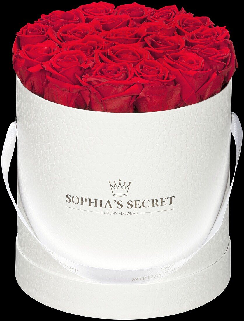 Sophias Secret® - Rose box - hat box