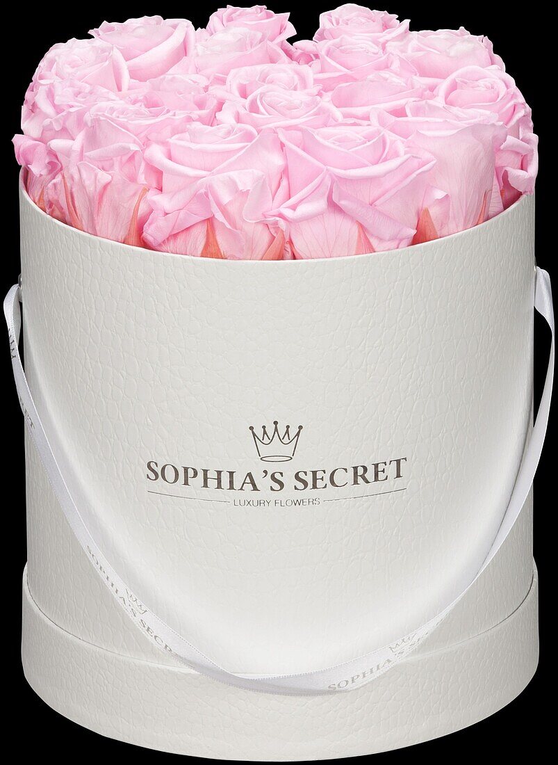 Sophias Secret® - Rose box - Hat box