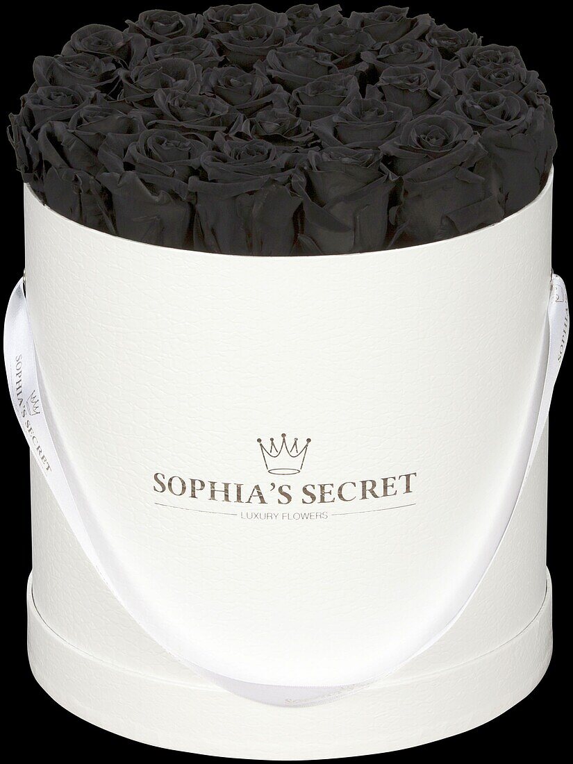 Sophias Secret® - Rose Box - Hat Box