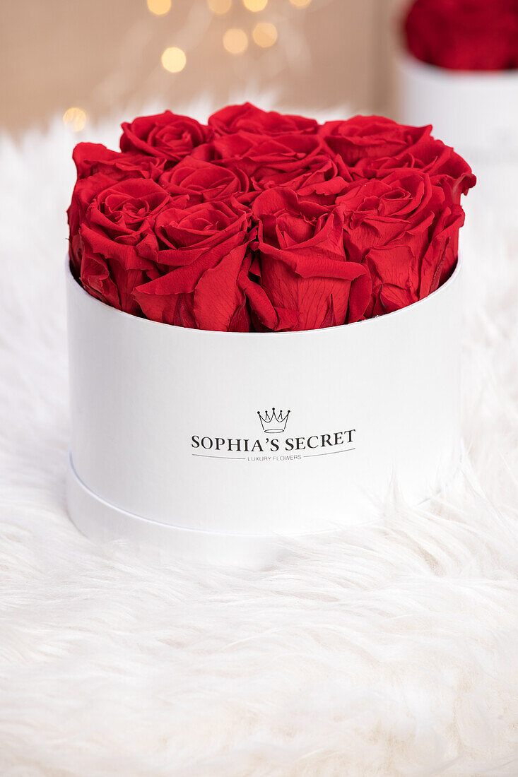 Sophias Secret® - Rose Box