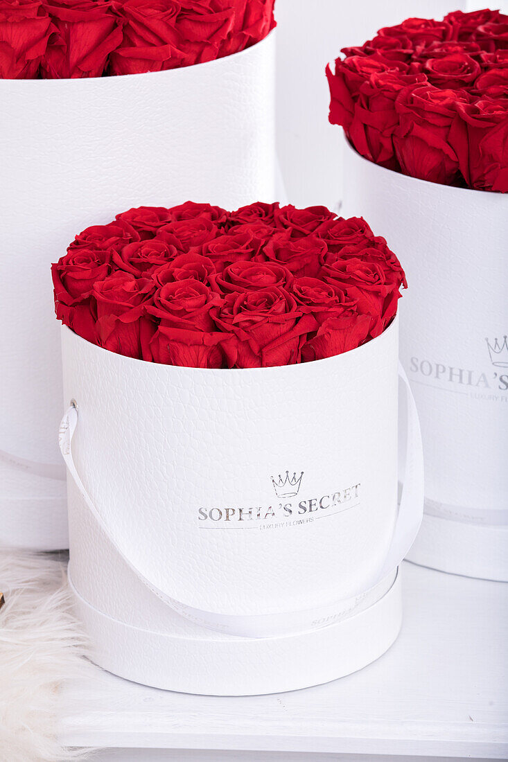 Sophias Secret® - Rose Box