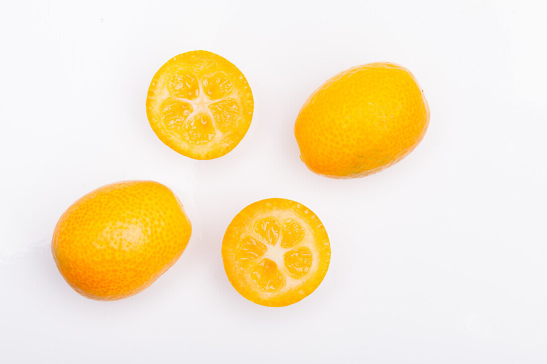 Citrus japonica
