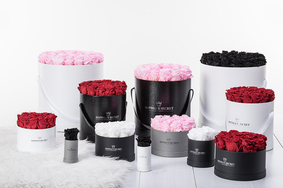 Sophias Secret® - Rose boxes