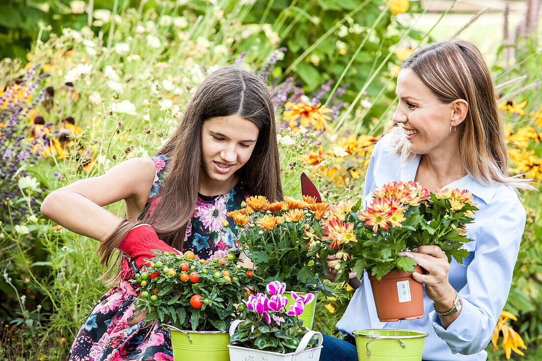 Planting plants