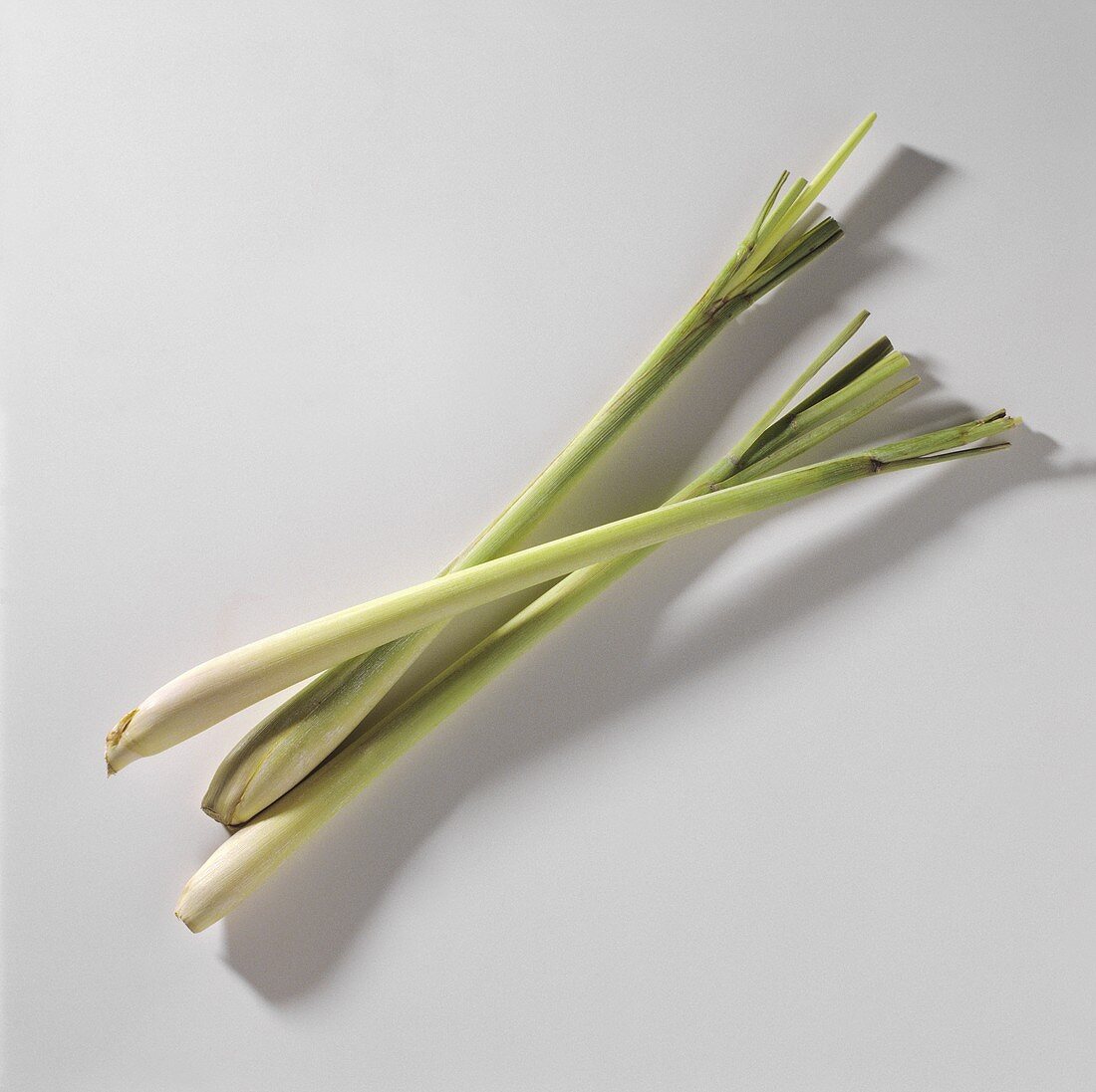 Three stalks of lemon grass