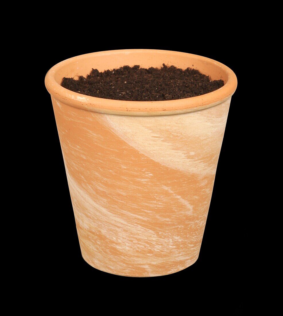Clay pot Terracotta