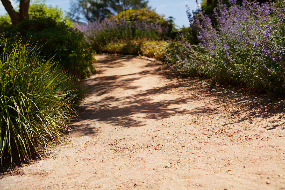 Paths in the garden