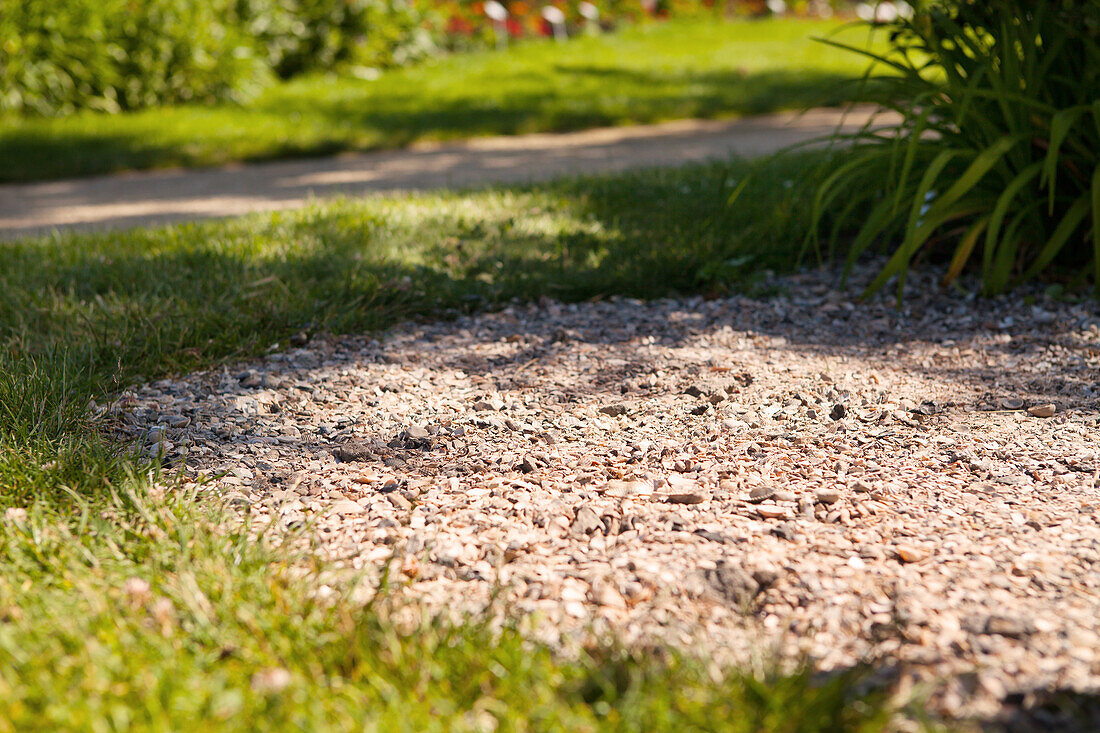 Paths in the garden