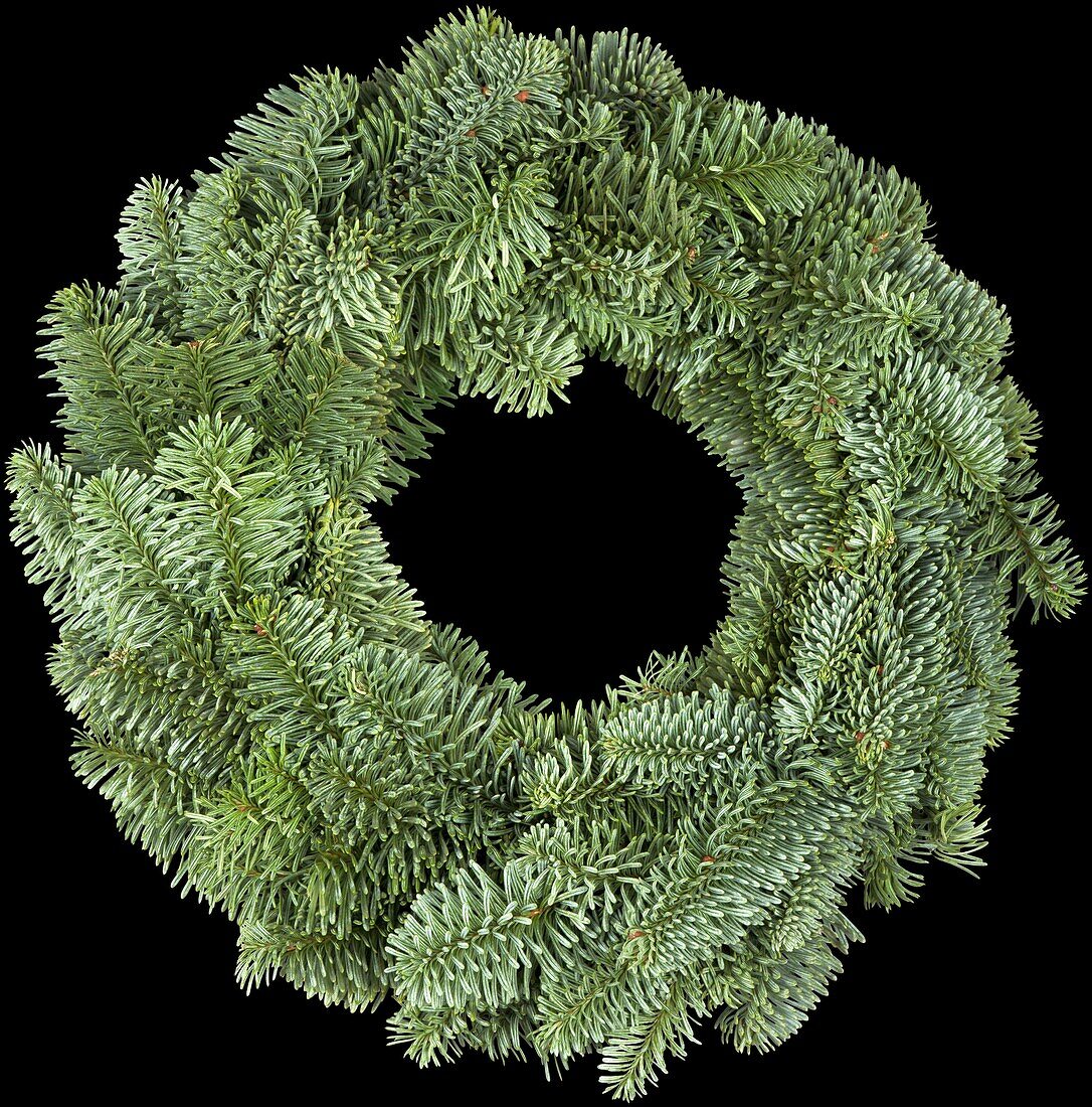 Wreath, green, neutral