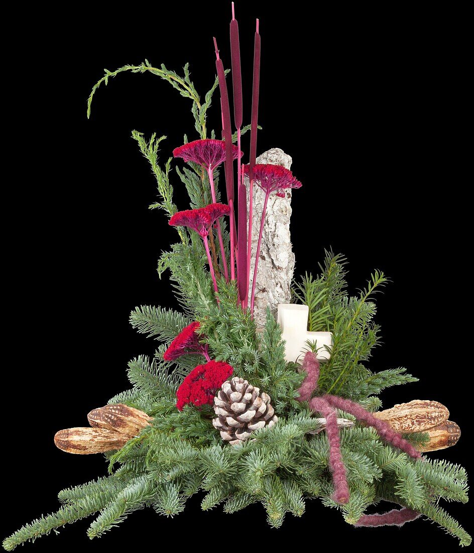 Arrangement with cross and white bark