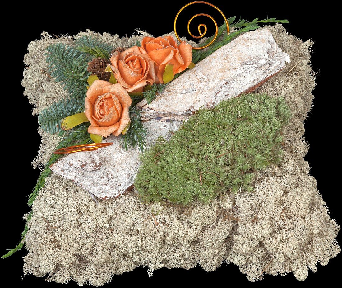 Moss cushion