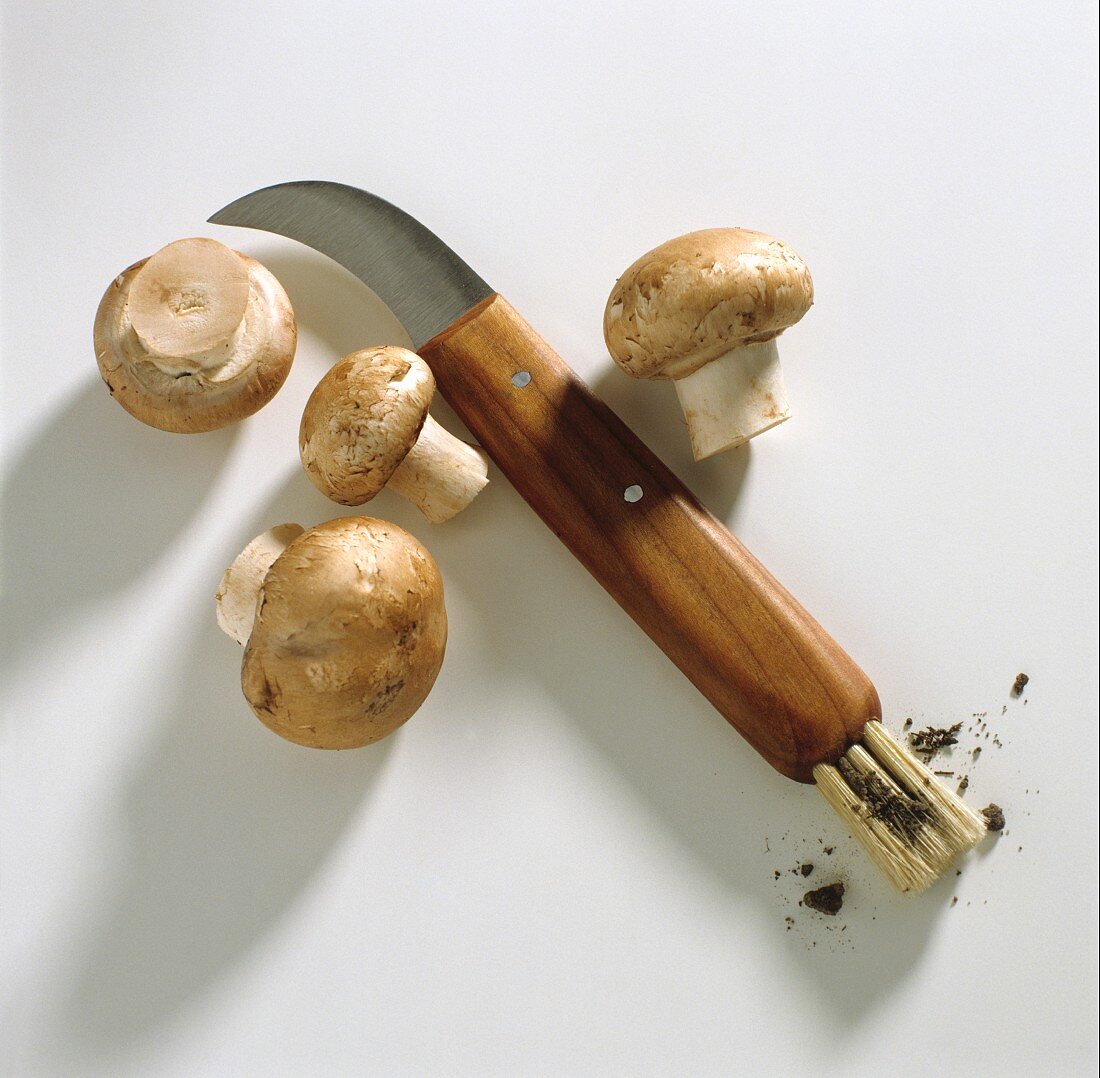 Fresh brown mushrooms & a mushroom knife with brush