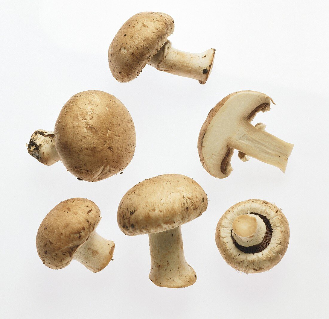 Several whole brown mushrooms and half a mushroom