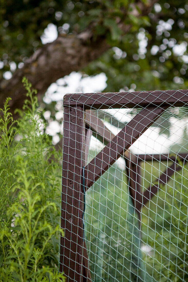 Net (protection against birds)