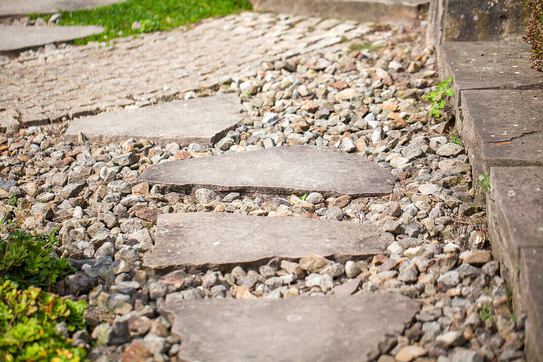 Paths in the garden