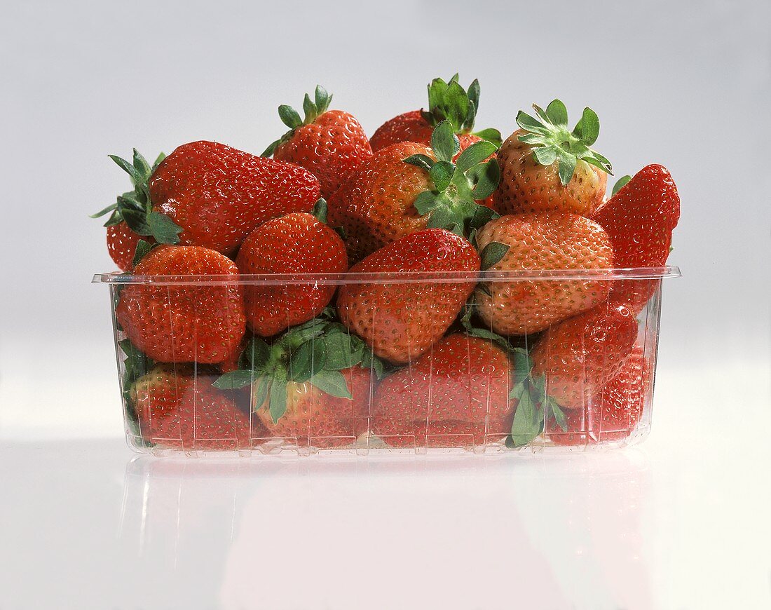 Frische Erdbeeren im Plastikschälchen