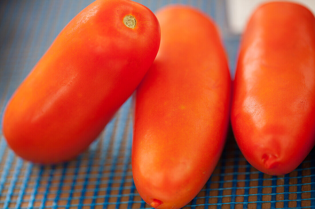 Solanum lycopersicum 'San Marzano' Portento