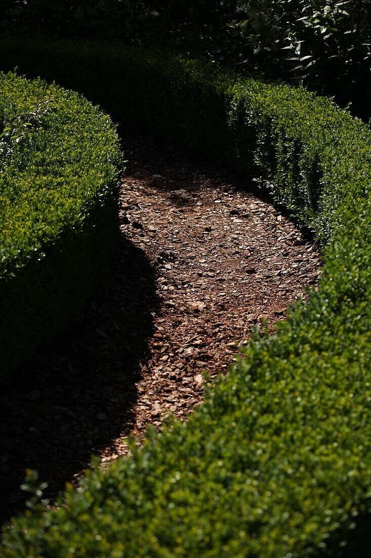 Paths in the garden