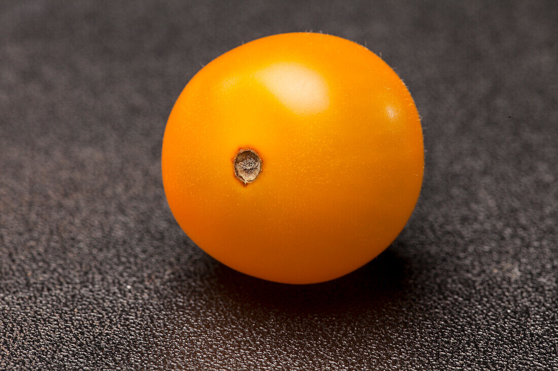 Solanum lycopersicum var. cerasiforme