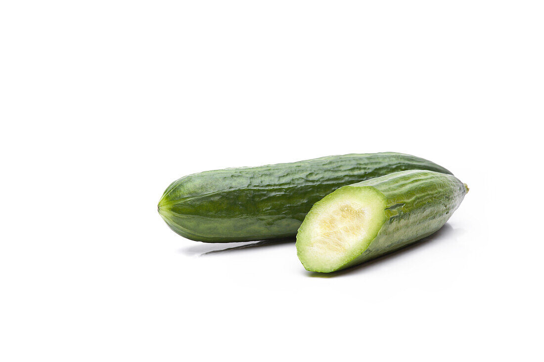 Cucumis sativus