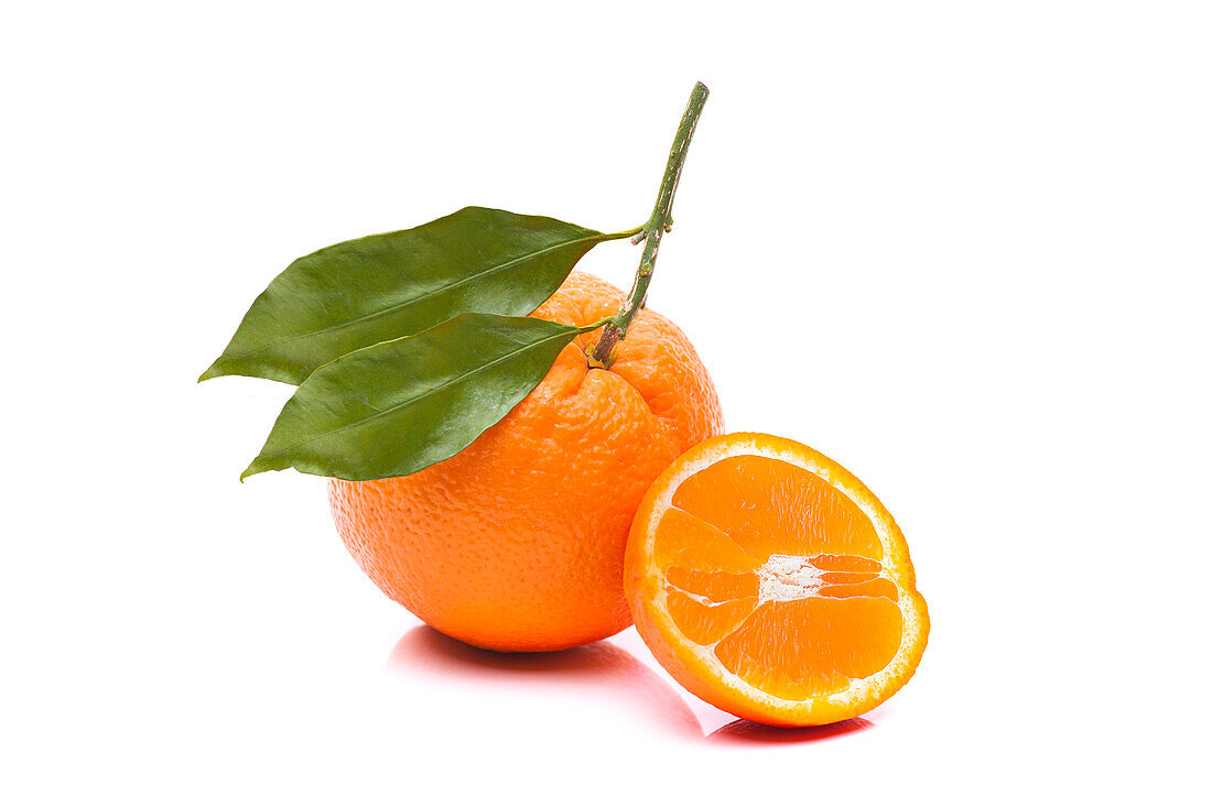 Citrus sinensis